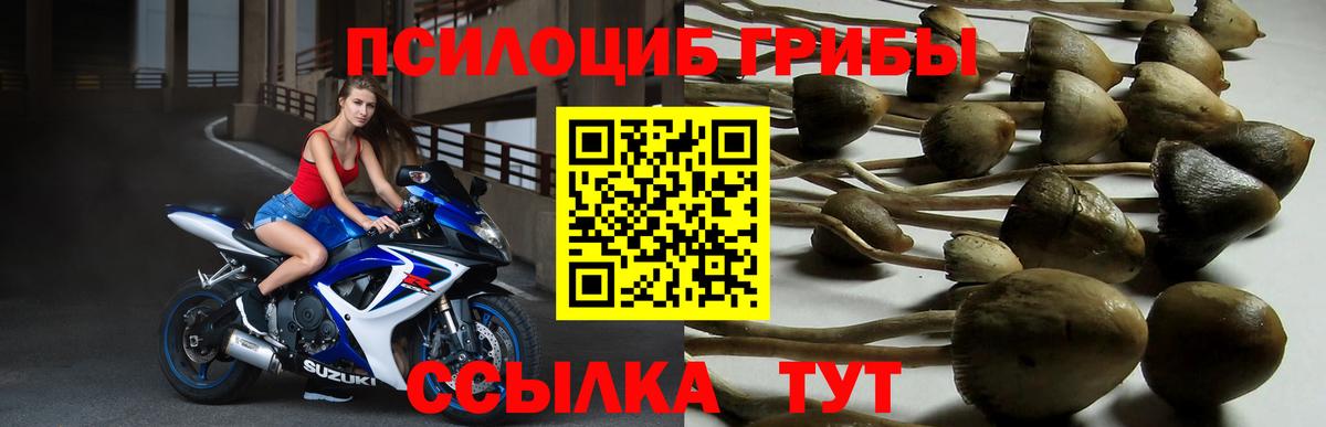 Нальчик  Псилоцибиновые грибы Magic Shrooms  Вход с VPN 